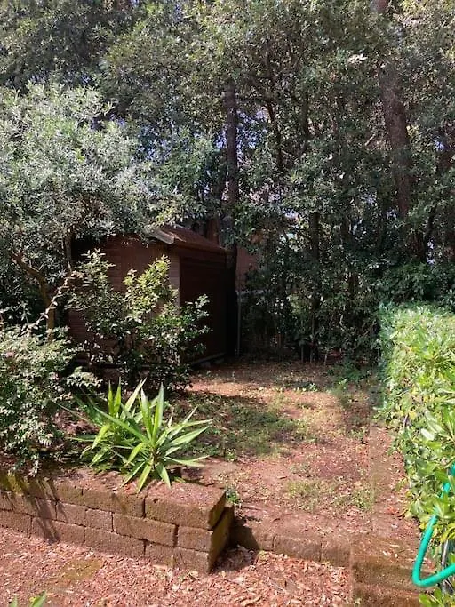Casa Mari Apartment Castiglioncello